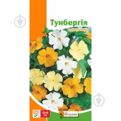 Семена Яскрава тунбергия - фото 2