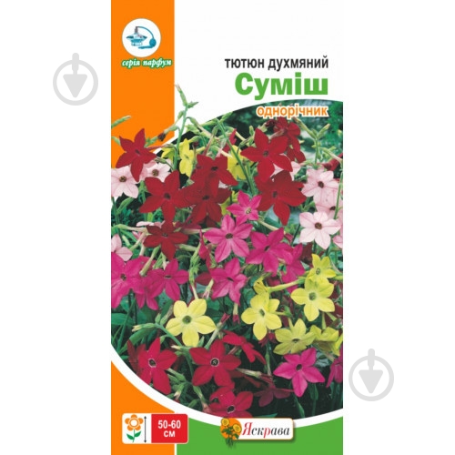 Семена Яскрава табак душистый - фото 2