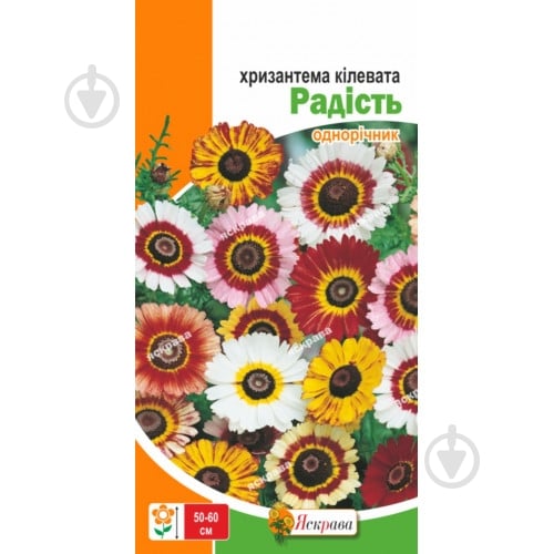 Семена Яскрава хризантема килевата Радость - фото 1