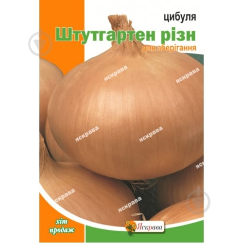 Семена Яскрава лук репчатый Штутгартен ризн 5 г (4823069912765) - фото 1