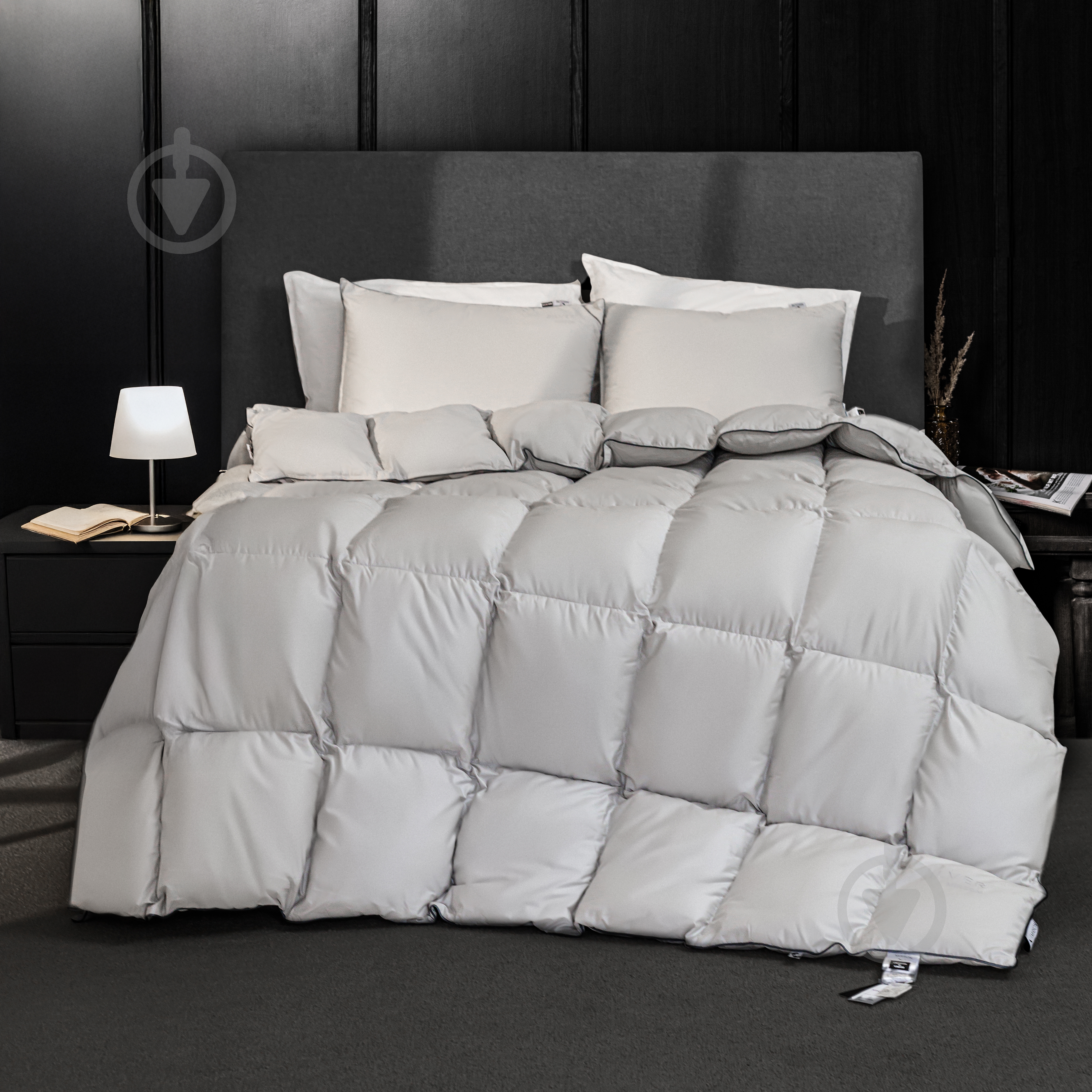 Одеяло пуховое № 067 Silver Cloud зима+ 200x220 см MirSon серебряный - фото 1