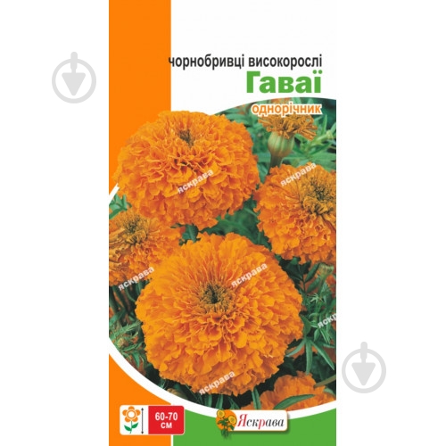 Семена Яскрава бархатцы высокорослые Гавайи - фото 1 Семена Яскрава бархатцы высокорослые Гавайи - фото 1