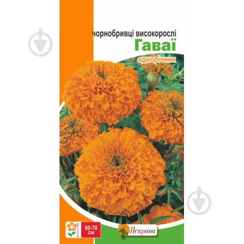 Семена Яскрава бархатцы высокорослые Гавайи - фото 2 Семена Яскрава бархатцы высокорослые Гавайи - фото 2