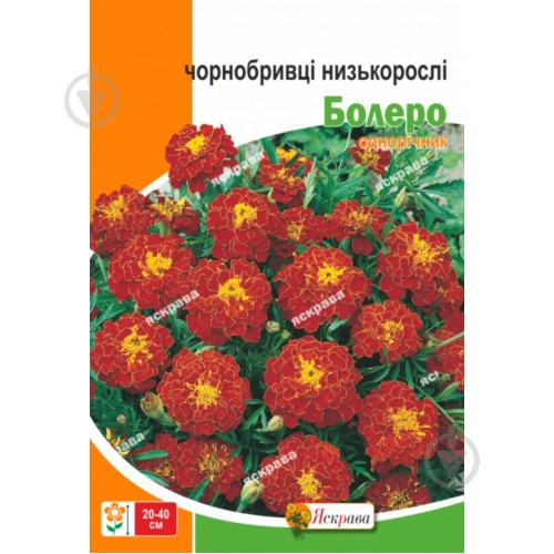 Семена Яскрава бархатцы Болеро - фото 1