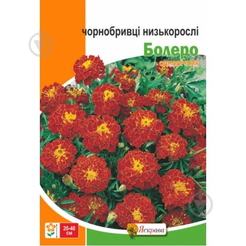 Семена Яскрава бархатцы Болеро - фото 2