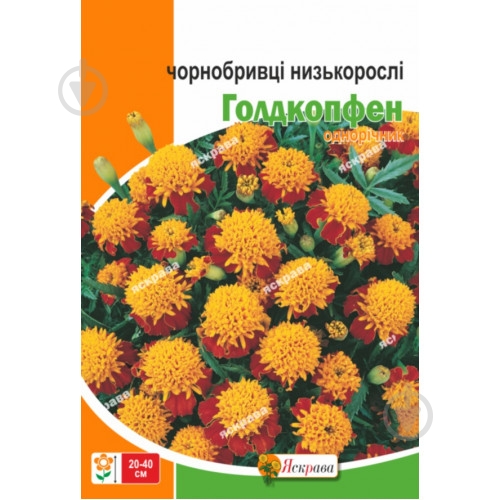 Семена Яскрава бархатцы Годкопфен - фото 1