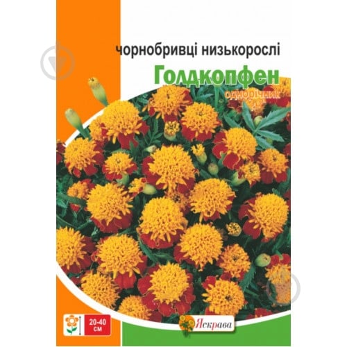Семена Яскрава бархатцы Годкопфен - фото 2
