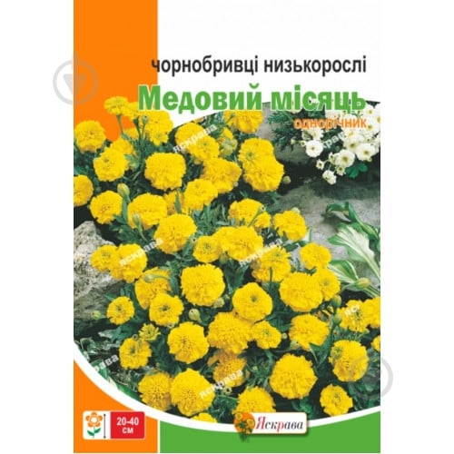 Семена Яскрава бархатцы Медовый месяц - фото 1 Семена Яскрава бархатцы Медовый месяц - фото 1