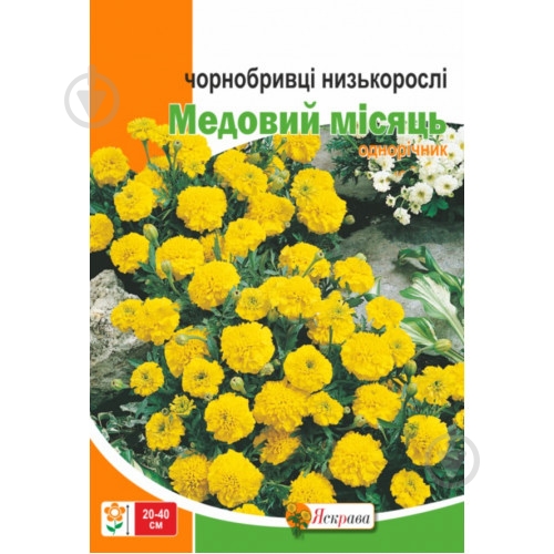 Семена Яскрава бархатцы Медовый месяц - фото 2 Семена Яскрава бархатцы Медовый месяц - фото 2