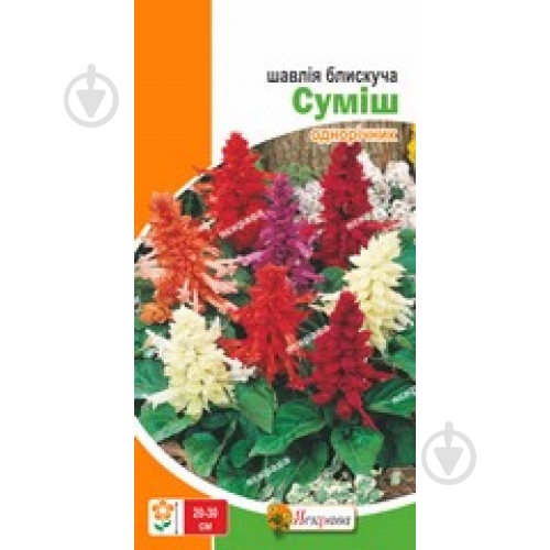 Семена Яскрава шалфей блестящий Смесь - фото 1 Семена Яскрава шалфей блестящий Смесь - фото 1