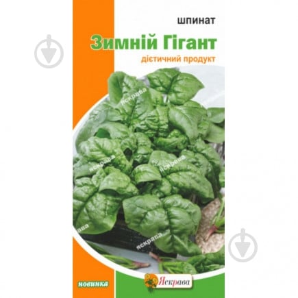 Семена Яскрава шпинат Зимний Гигант - фото 1