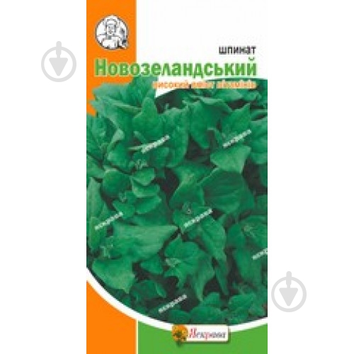 Насіння шпинат Новозеланський високий Яскрава - фото 1 Насіння шпинат Новозеланський високий Яскрава - фото 1