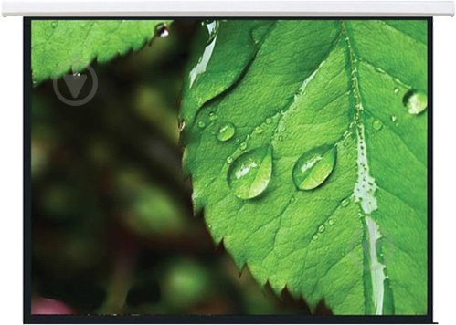 Экран Brateck PEAC100 - фото 1