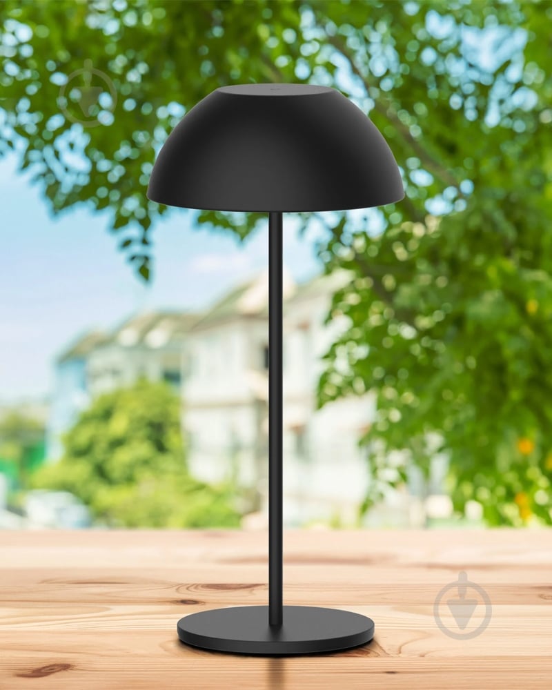 Світильник вуличний декоративний Goldlux Tanzania LED-модуль 1,8 Вт IP44 чорний 329950 - фото 2 Світильник вуличний декоративний Goldlux Tanzania LED-модуль 1,8 Вт IP44 чорний 329950 - фото 2