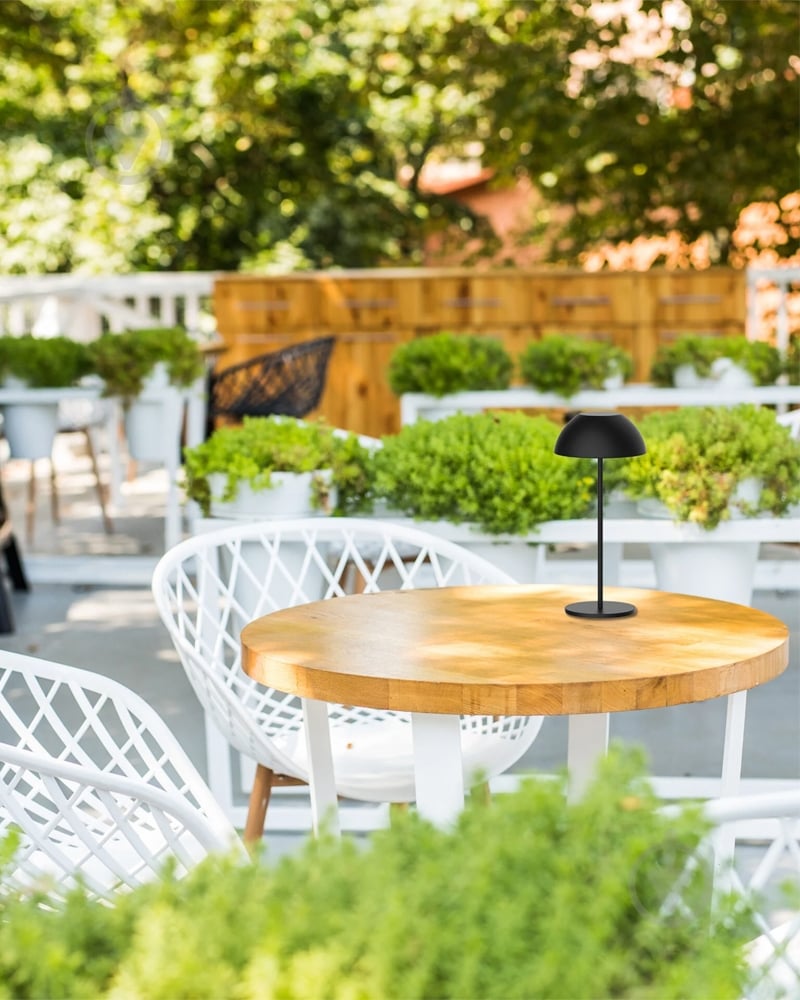 Світильник вуличний декоративний Goldlux Tanzania LED-модуль 1,8 Вт IP44 чорний 329950 - фото 3 Світильник вуличний декоративний Goldlux Tanzania LED-модуль 1,8 Вт IP44 чорний 329950 - фото 3