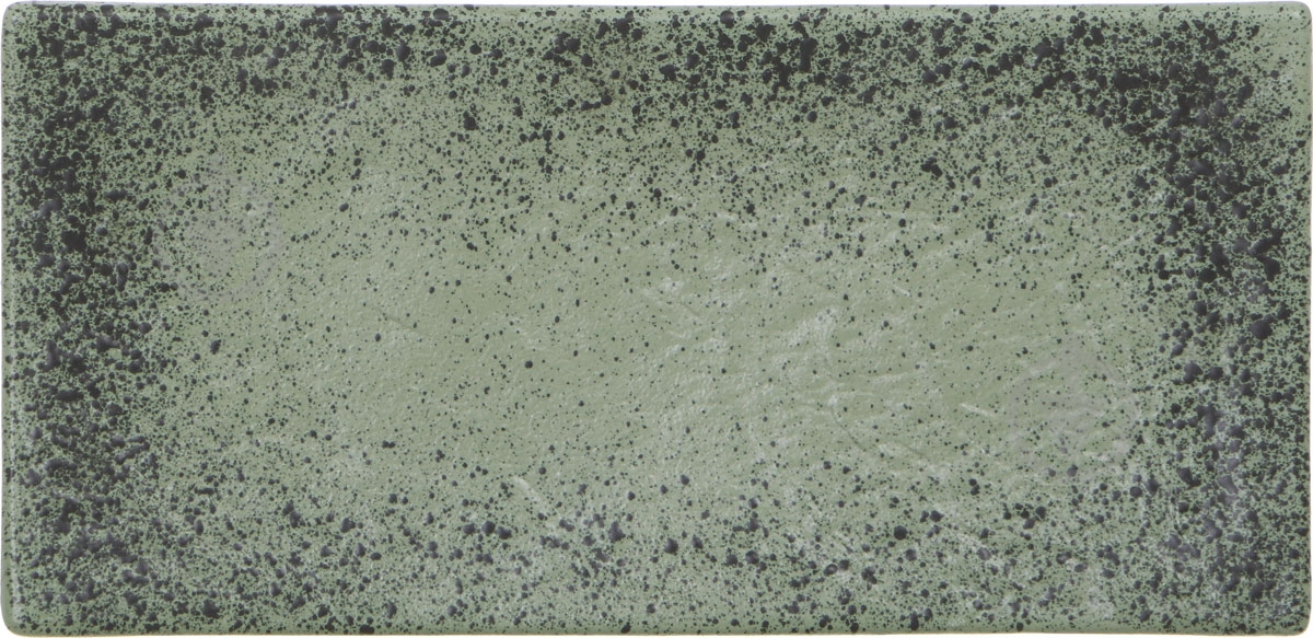 Блюдо сервировочное Fiora Lavastone Green 26,5х13 см - фото 1