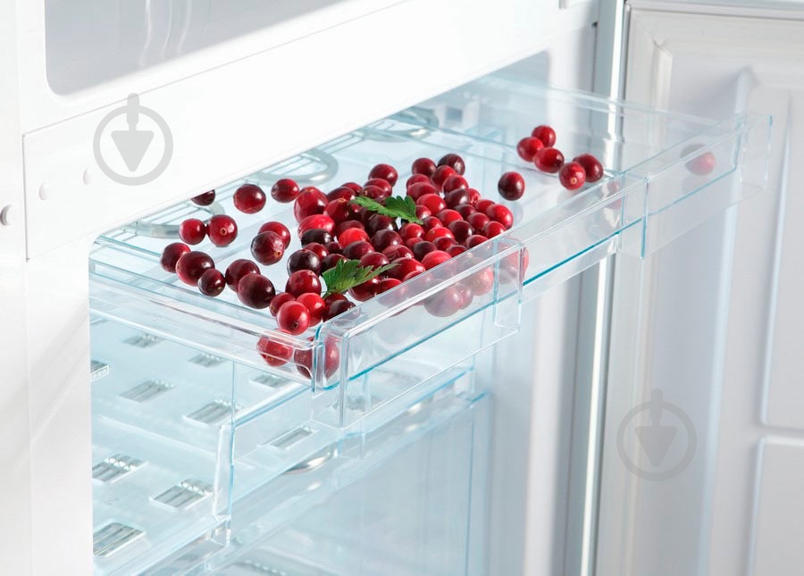 Холодильник Snaige RF31SM-P10022 - фото 8 Холодильник Snaige RF31SM-P10022 - фото 8