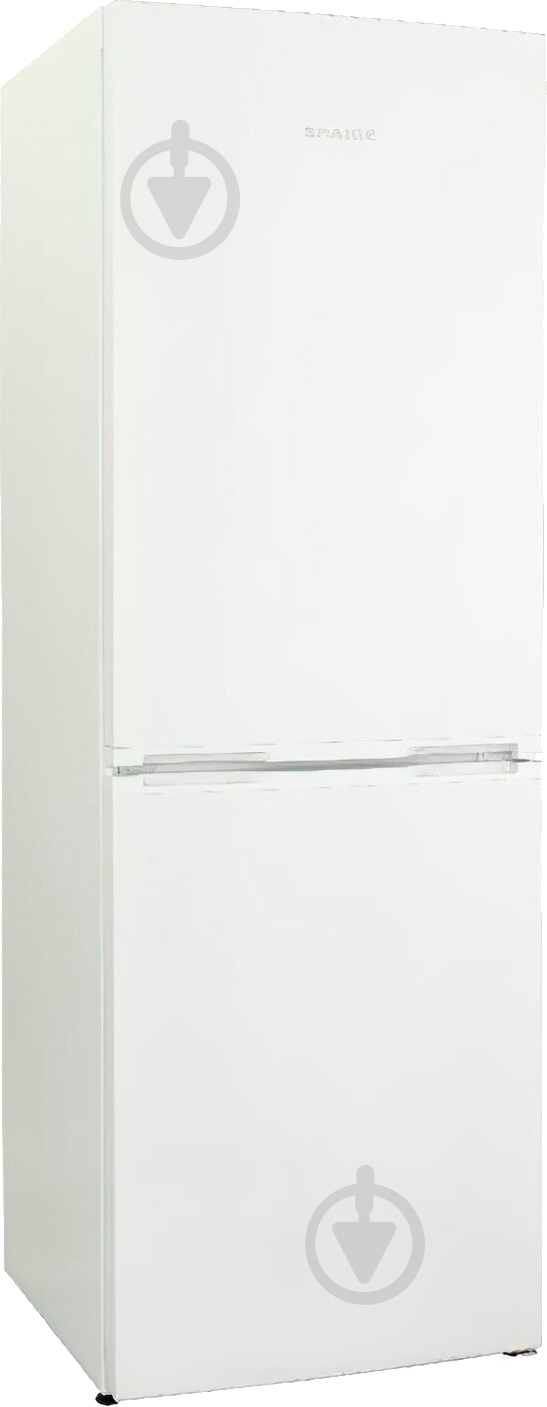 Холодильник Snaige RF53SM-P5002 - фото 1