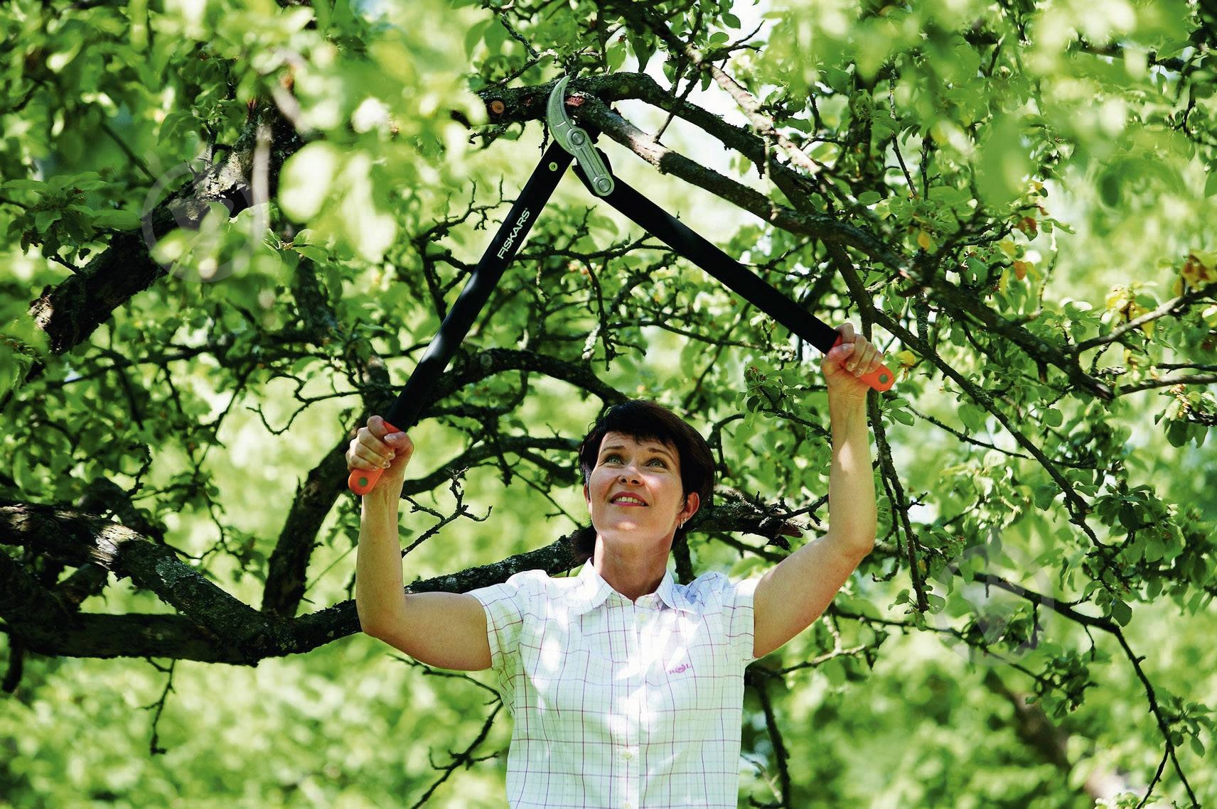 Веткорез Fiskars PowerGear L77 1000583 - фото 2