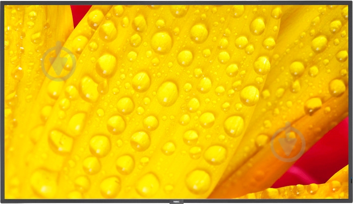 Монитор NEC MultiSync ME501 50" (60005053) - фото 1