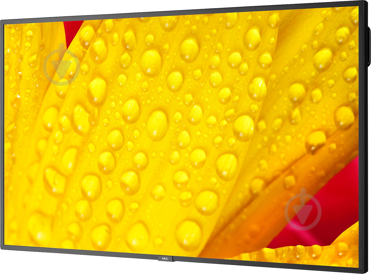 Монитор NEC MultiSync ME551 54,6" (60005057) - фото 3