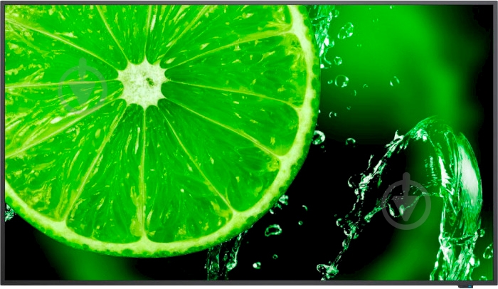 Монітор NEC MultiSync E658 64,5" (60005059) - фото 1