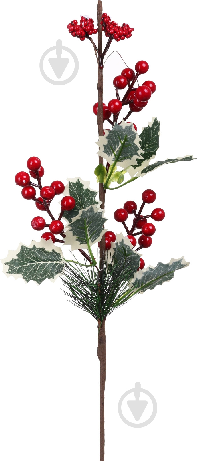 Горобина біла 60 см - фото 1