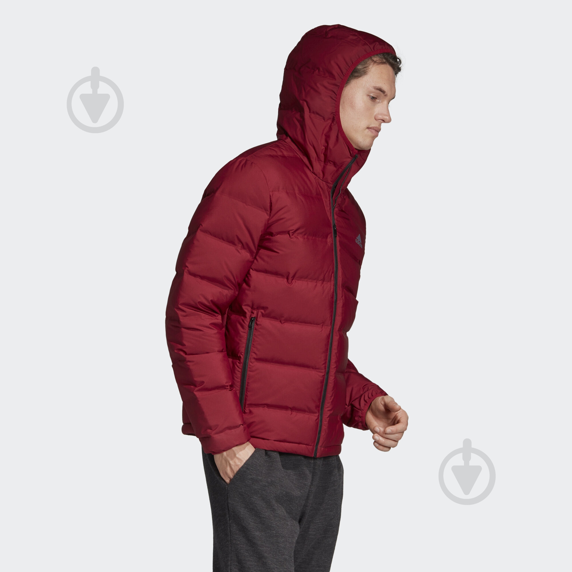 Пуховик мужской демисезонный Adidas Helionic Ho Jkt DZ1426 р.M бордовый - фото 4 Пуховик мужской демисезонный Adidas Helionic Ho Jkt DZ1426 р.M бордовый - фото 4