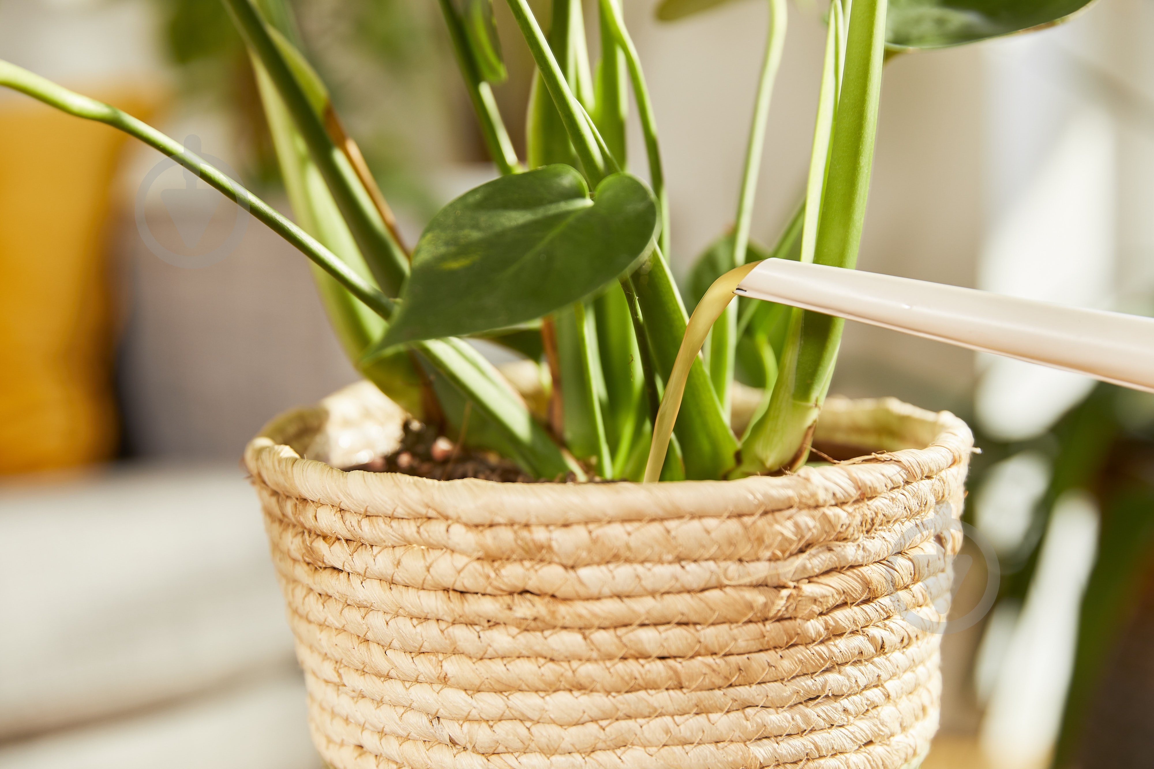 Добриво універсальне Compo Complete 0,5 л (5730) - фото 11