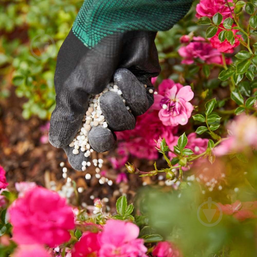 Удобрение для роз Compo 0,85 кг 1574 - фото 9