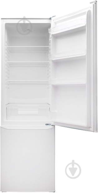 Холодильник Ergo MRF-177 - фото 4