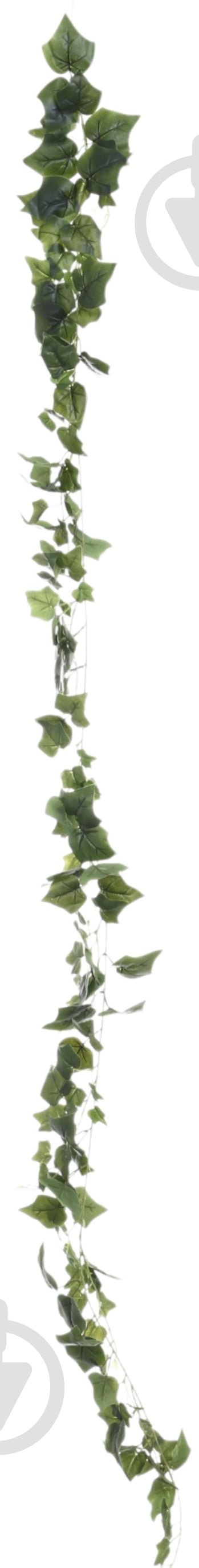 Веточка декоративная Плющ 250 см - фото 1