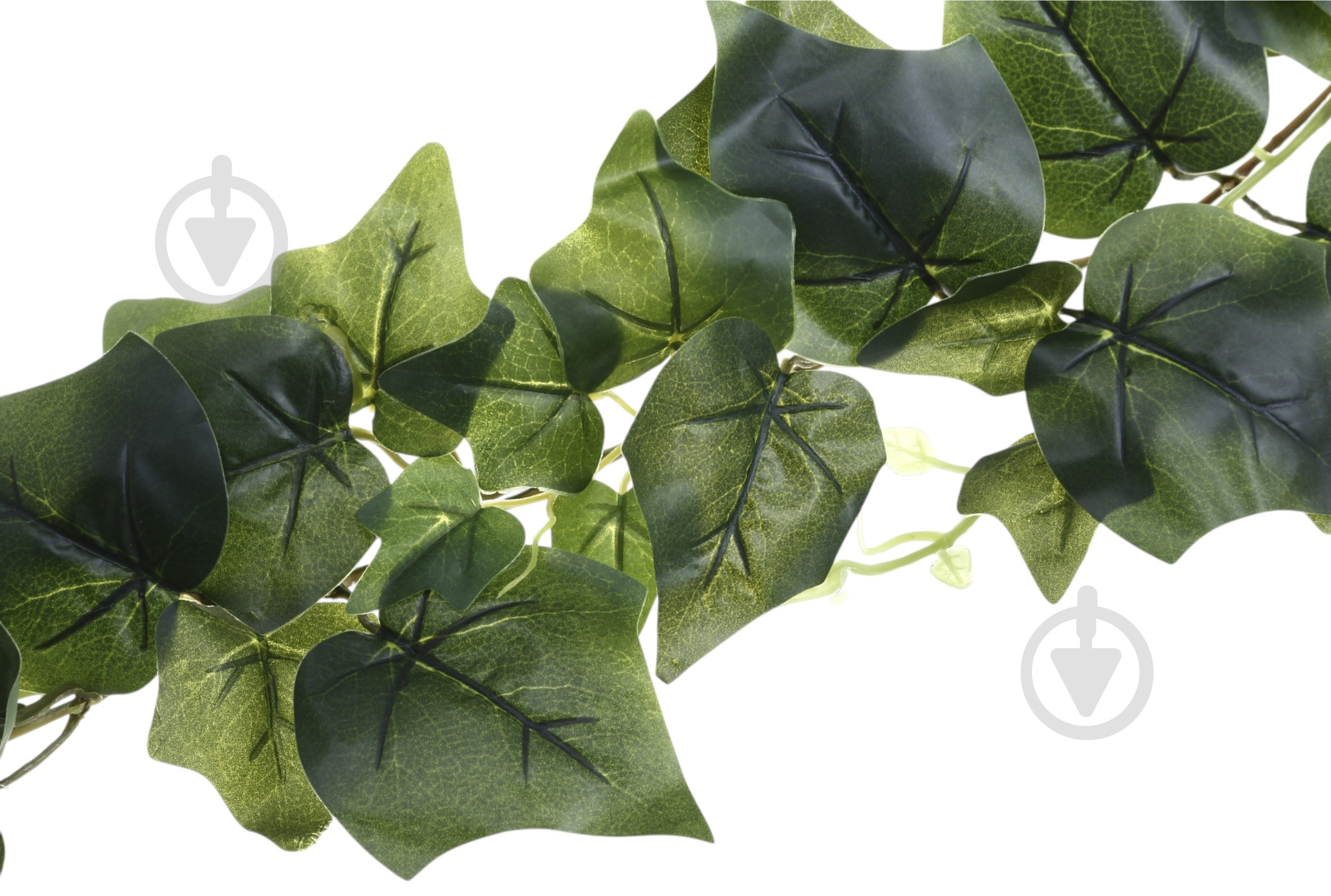 Веточка декоративная Плющ 250 см - фото 3