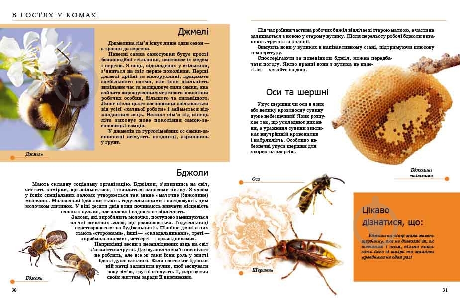 Книга «Комахи та інші» 978-966-935-238-5 - фото 3