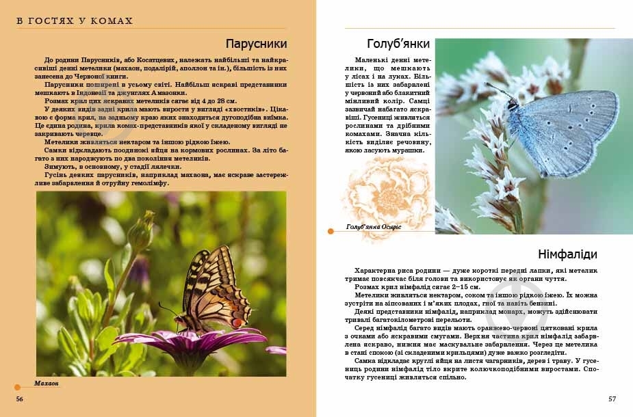 Книга «Комахи та інші» 978-966-935-238-5 - фото 4