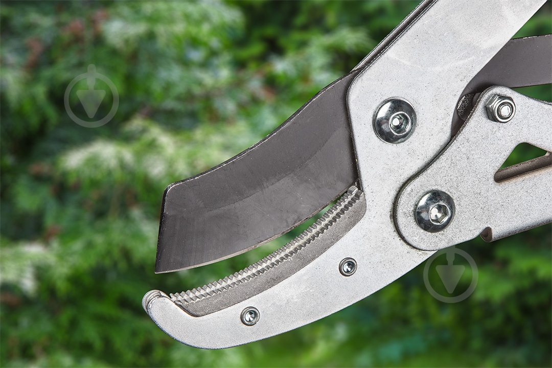 Сучкорез Verto (15G259) - фото 4