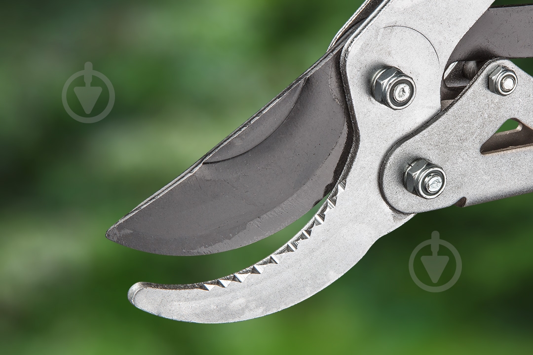 Сучкорез Verto (15G258) - фото 3