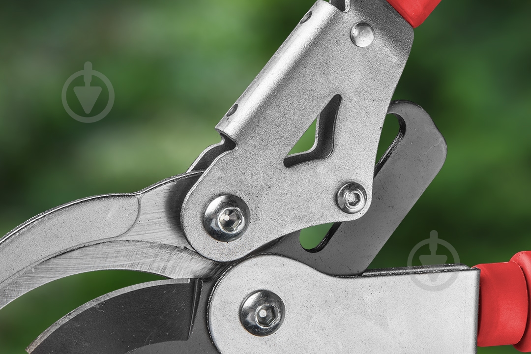 Сучкорез Verto (15G258) - фото 4