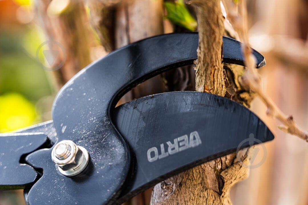 Сучкорез Verto (15G254) - фото 7