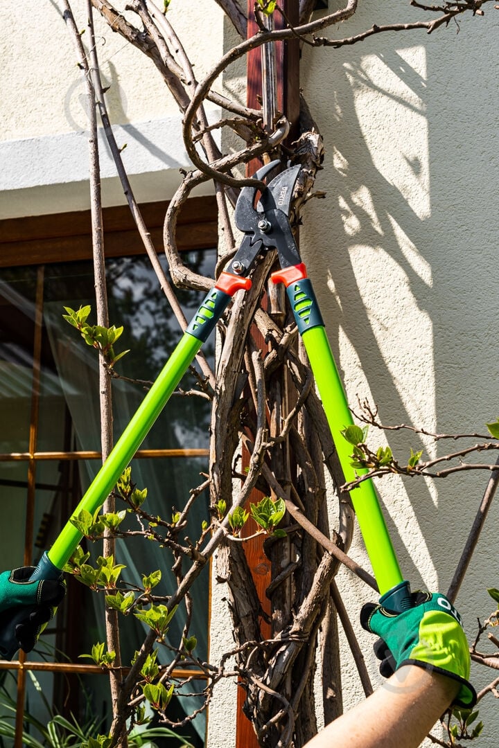 Сучкорез Verto (15G254) - фото 8