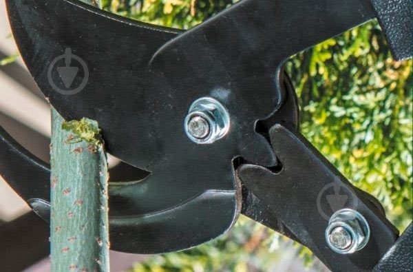 Сучкорез Verto (15G253) - фото 2