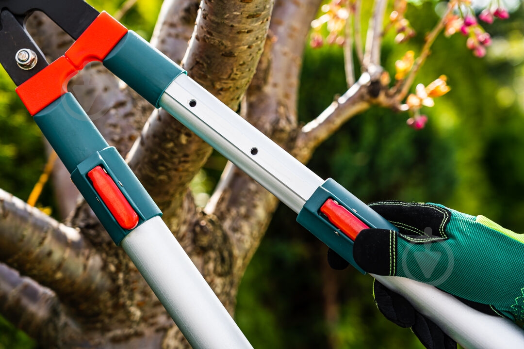 Гілкоріз Verto (15G253) - фото 11