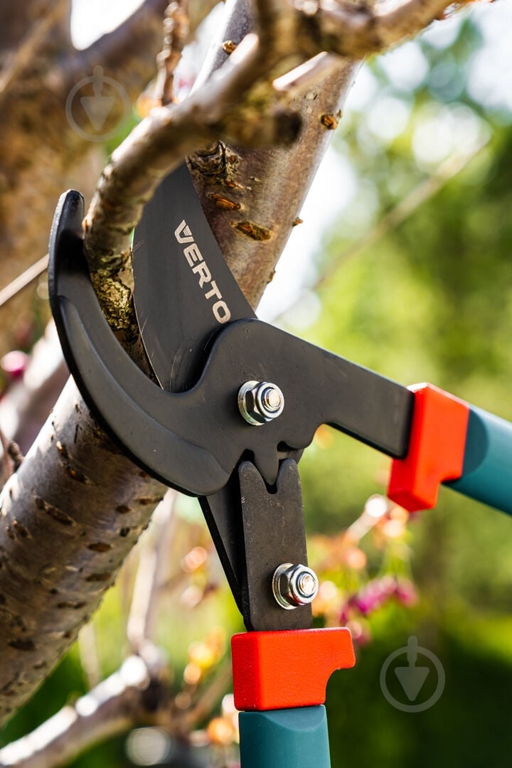 Гілкоріз Verto (15G253) - фото 5