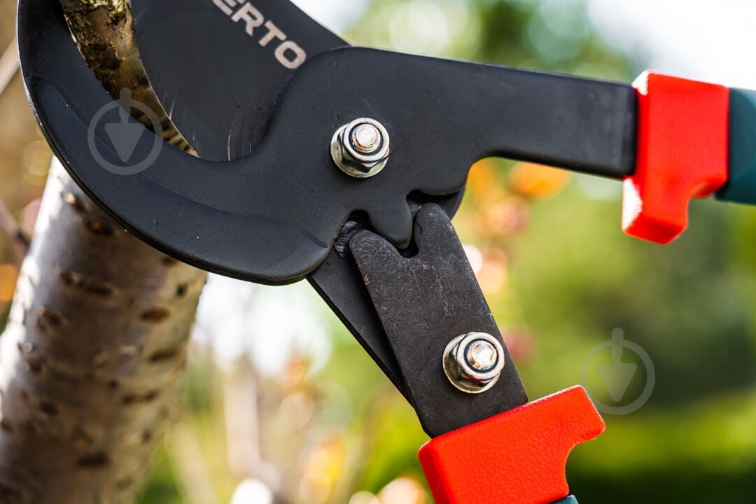 Гілкоріз Verto (15G253) - фото 6