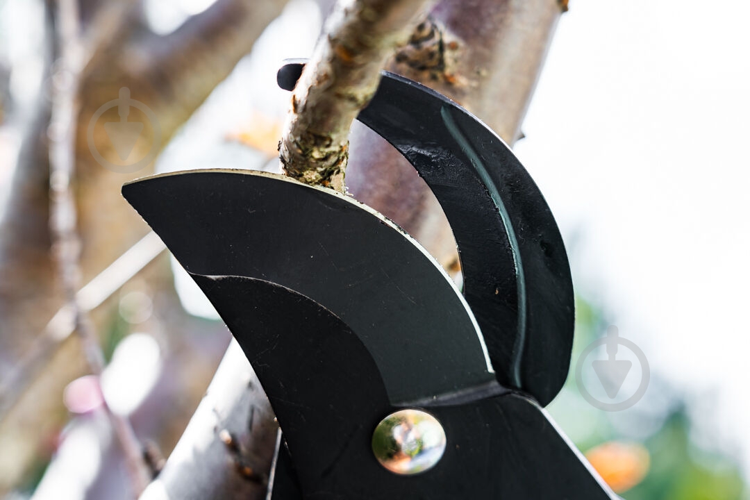 Гілкоріз Verto (15G253) - фото 7