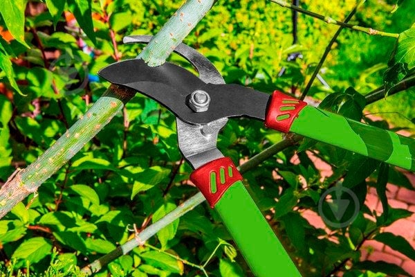 Сучкорез Verto (15G252) - фото 2