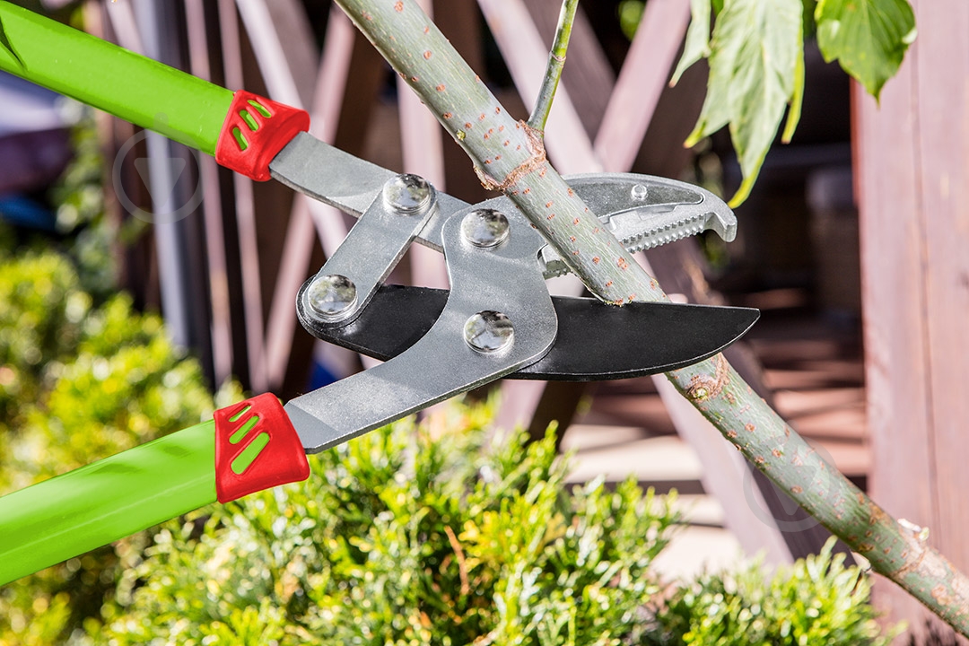 Сучкорез Verto (15G251) - фото 2