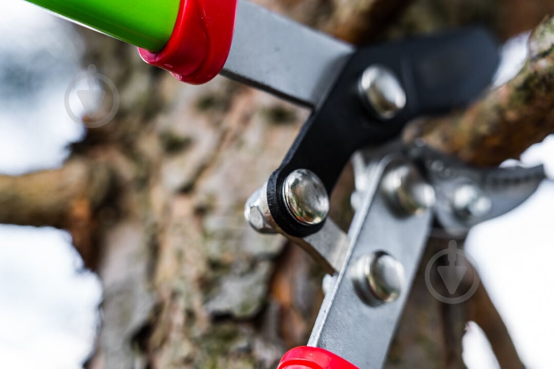 Сучкорез Verto (15G251) - фото 3