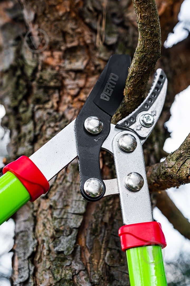 Сучкорез Verto (15G251) - фото 7