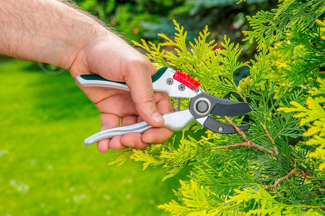 Секатор контактный Verto (15G207) - фото 3